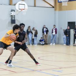 img-4874-web-68d01e3e5767e615098288.jpg