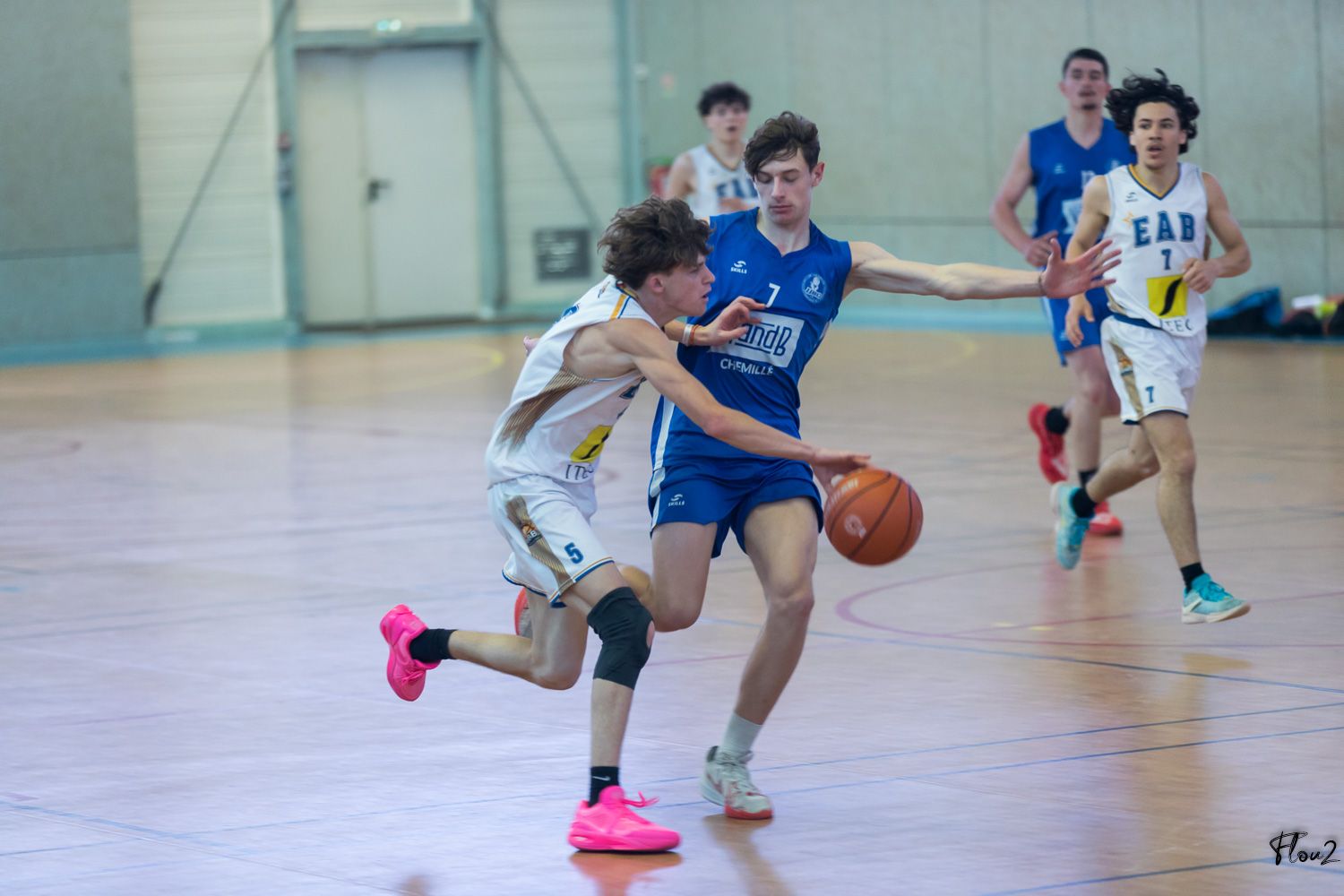 img-1668-web-68147c8709d8f325349924.jpg