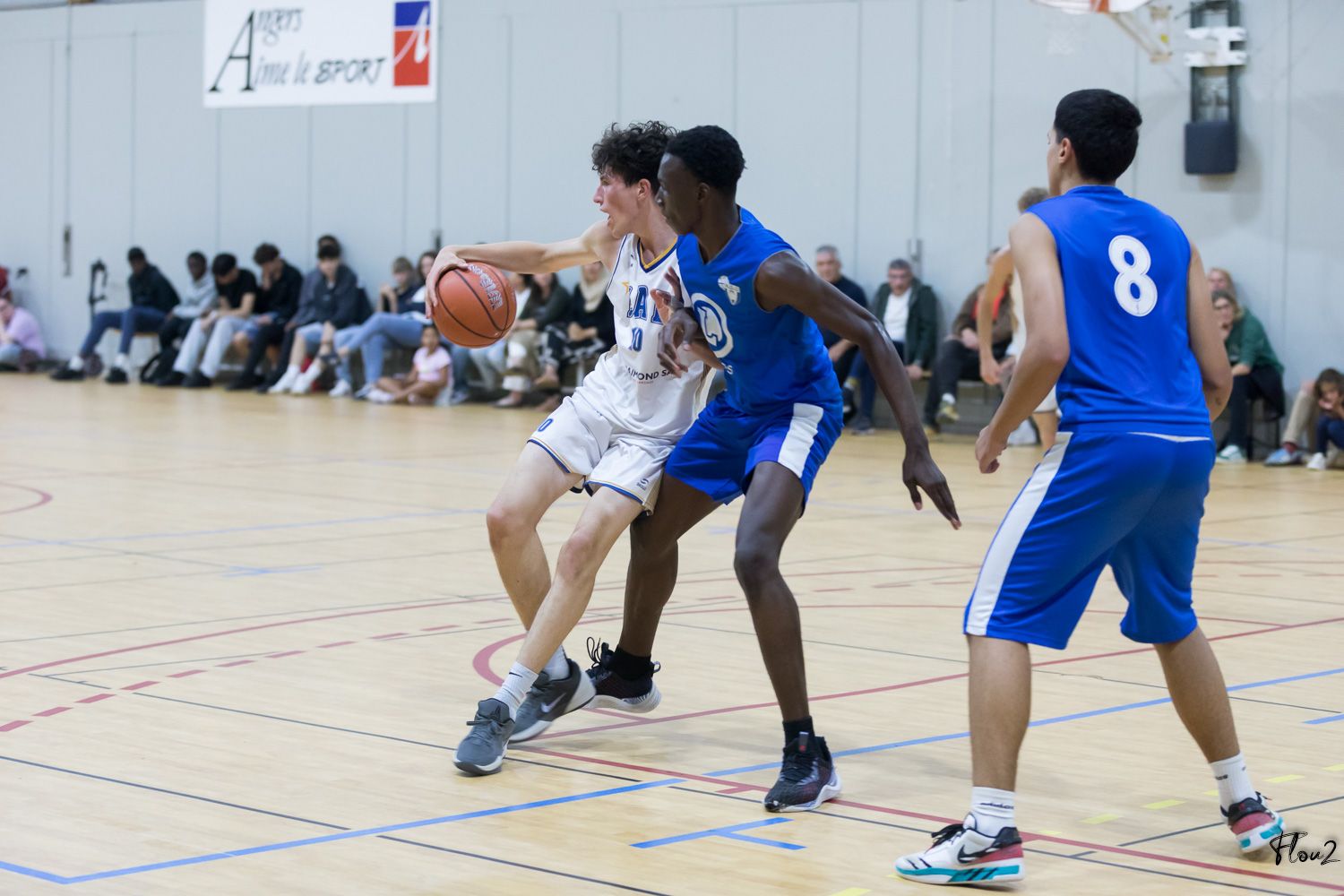 img-4864-web-68d01e3e54b71023108616.jpg