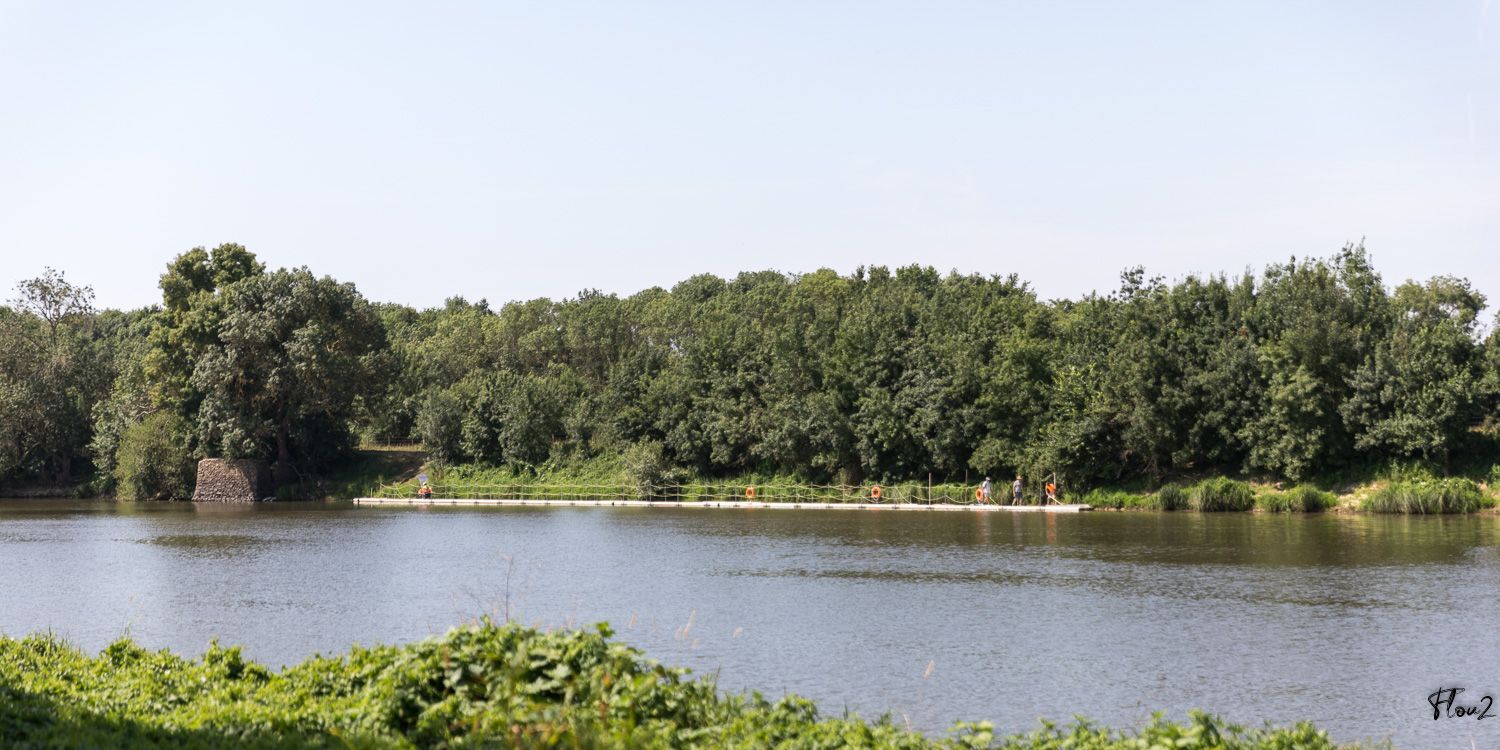img-0329-web-6a41772f7bf4f494048983.jpg