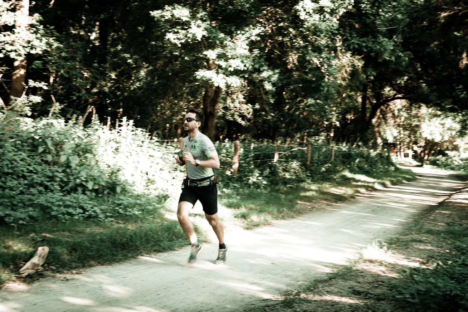 img-0781-web-6a4178a5a108e032371011.jpg